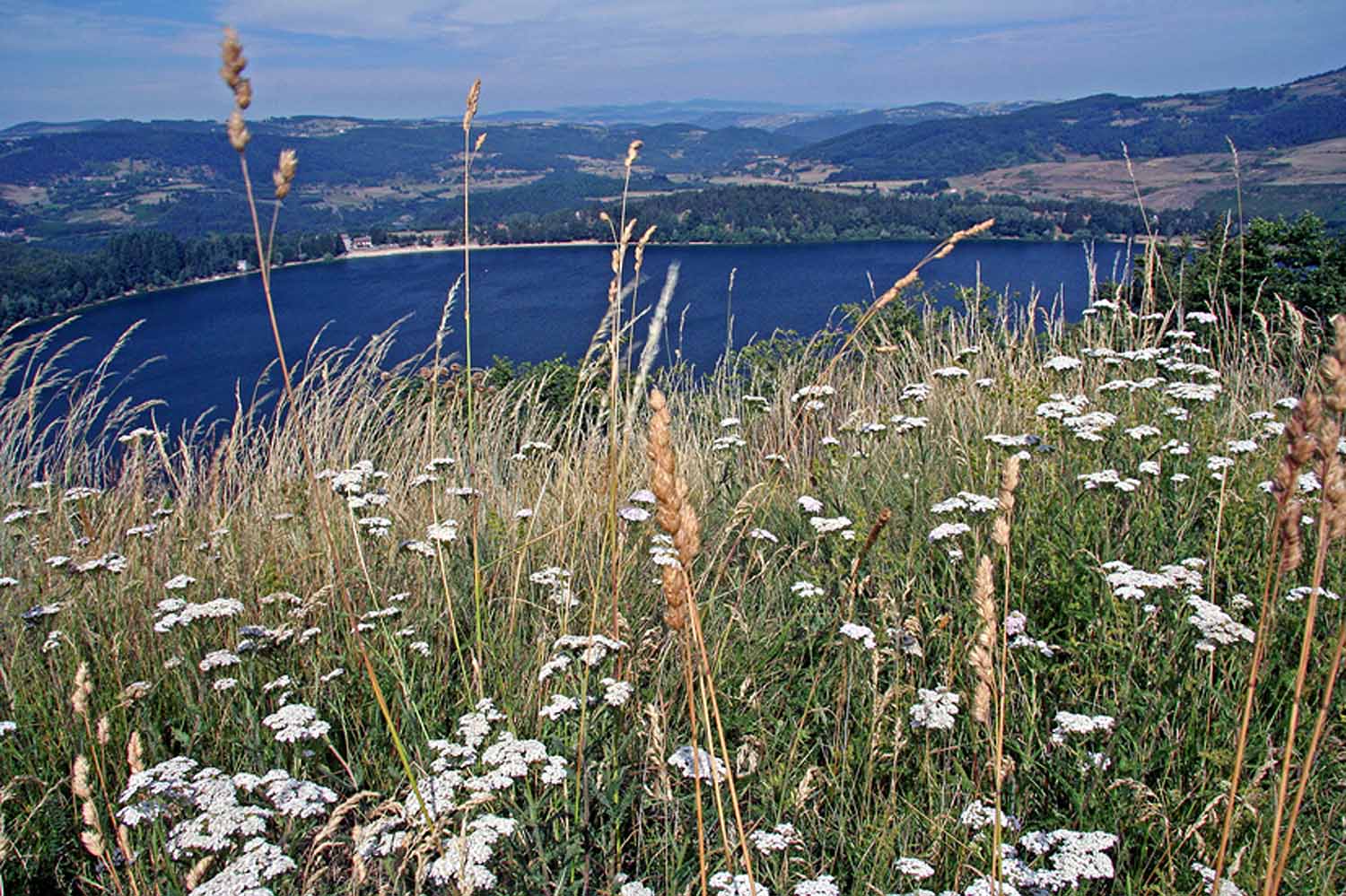 Le lac d'Issarlès