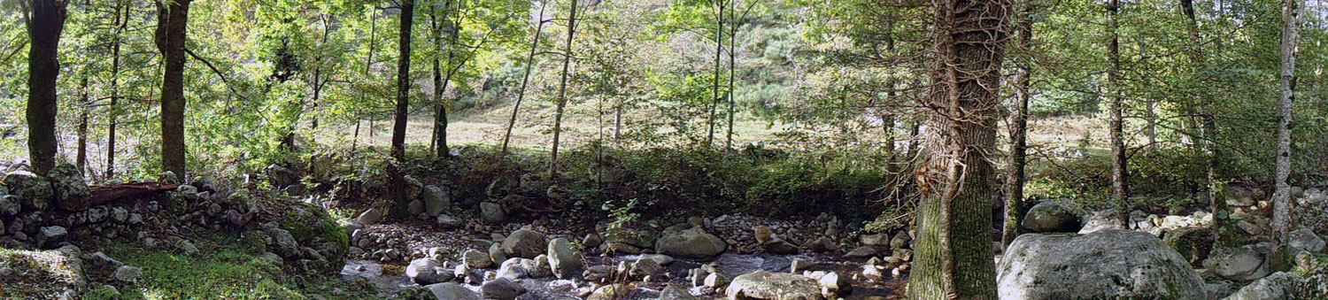 DSC00100 daip2