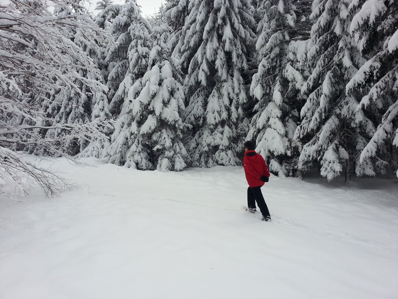 En hiver